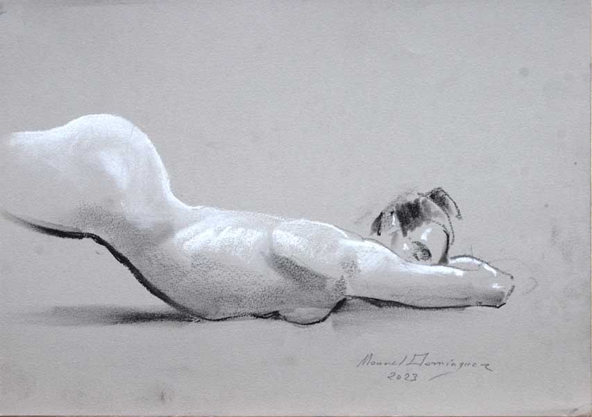 Nude woman. chaarcoat drawing