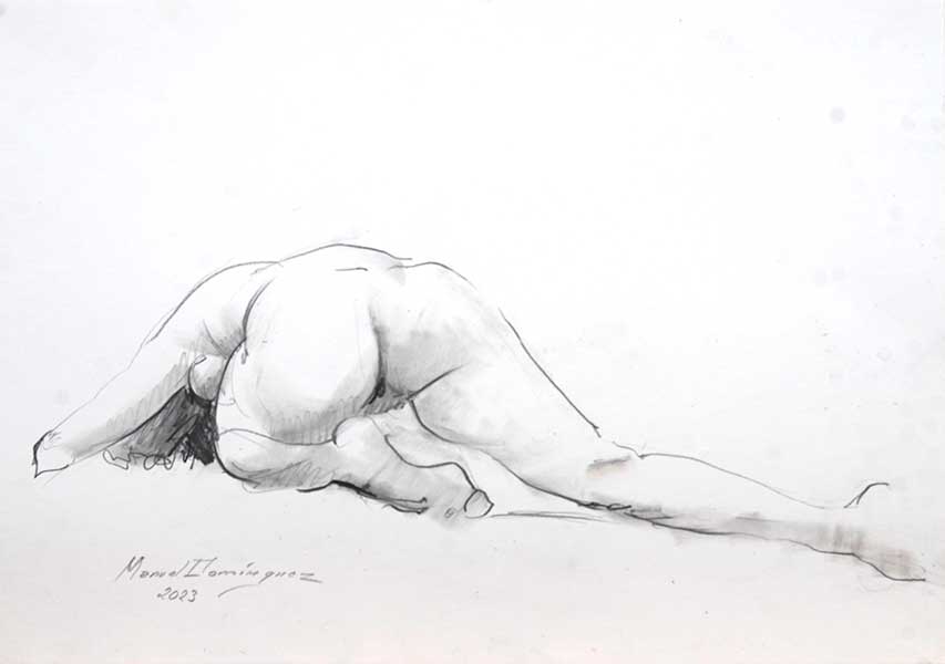 Desnudo femenino-dibujo a grafito