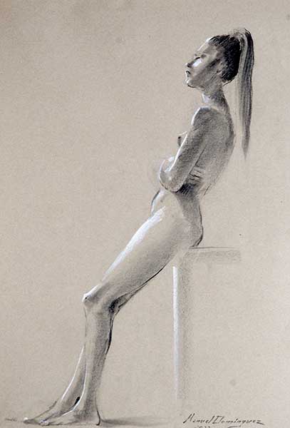 Nude. Drawing. Charcoat