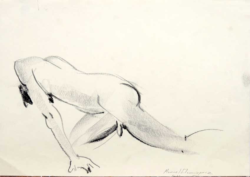 Artistic nude. drawing 47