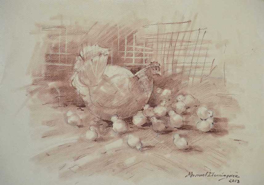 Gallina y pollos.Dibujo a sepia de Manuel Domínguez