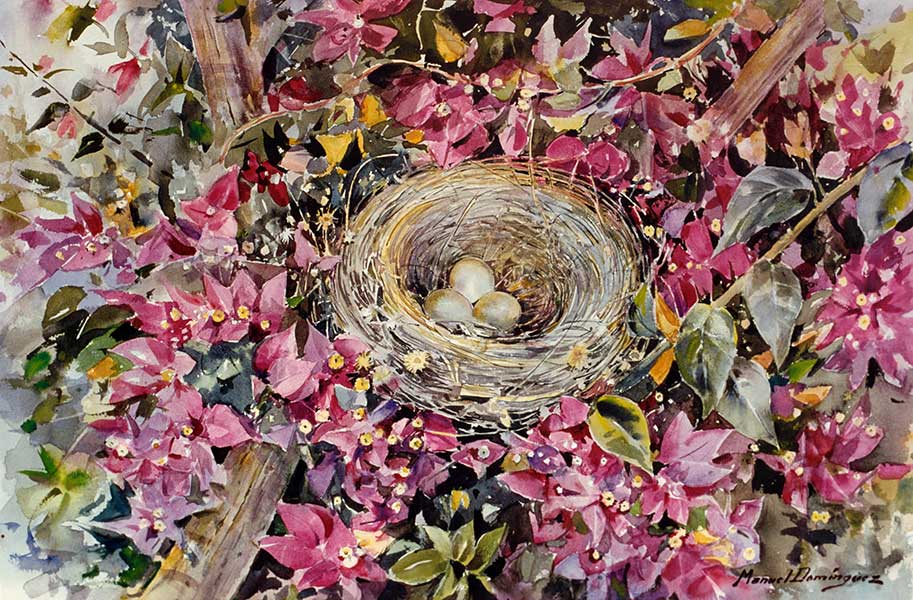 Watercolor by Manuel Domínguez-
sparrows nest